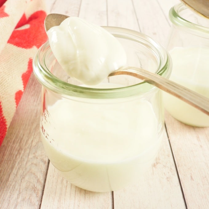 Greek-style yogurt stored in jar. A dollop on a spoon to show how smooth and thick it is.