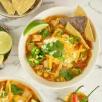 A chicken and white bean chili (stew) garnished with tortilla chips, yogurt, chopped scallions, shredded cheese and a flurry of cilantro leaves.