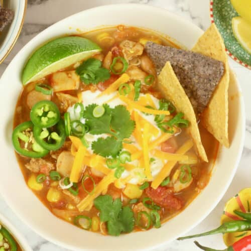 A chicken and white bean chili (stew) garnished with tortilla chips, yogurt, chopped scallions, shredded cheese and a flurry of cilantro leaves.