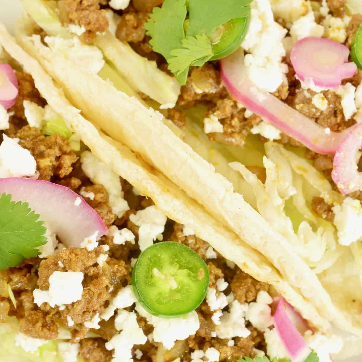 Two tacos garnished pickled red onions, sliced radishes, cheese crumbles and a flutter of cilantro leaves.