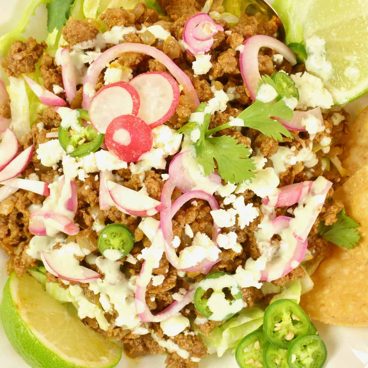 Taco Filling Ideas - Indianish Two tacos garnished pickled red onions, sliced radishes, cheese crumbles and a flutter of cilantro leaves.