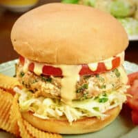 Turkey burgers served on a bun with spicy potato chips, tomato, coleslaw and special sauce.