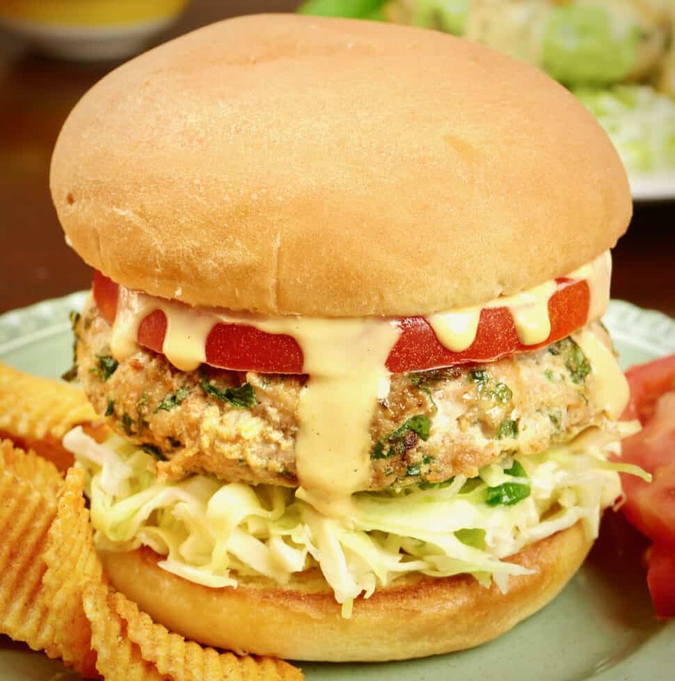 Turkey burgers served on a bun with spicy potato chips, tomato, coleslaw and special sauce.